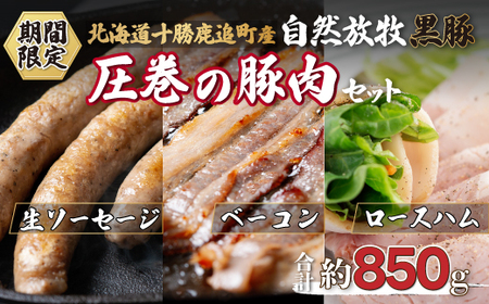 鹿追産 自然放牧黒豚 圧巻の豚肉(おすすめ加工品つめあわせセット) SKN009 [ ふるさと納税 人気 おすすめ ランキング 黒豚豚豚肉黒豚肉黒豚生ソーセージ黒豚ベーコン黒豚ロースハム北海道 鹿追町 送料無料 ]