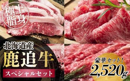 鹿追牛 スペシャルセット 2,520g SKA018 [ ふるさと納税 人気 おすすめ ランキング 牛 肉 牛肉 ビーフ ロース ステーキ すき焼き 焼肉 大容量 ミート 北海道 鹿追町 送料無料 ]