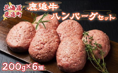 鹿追牛ハンバーグセット 200g×6個 SKA007 [ ふるさと納税 人気 おすすめ ランキング 牛 肉 牛肉 うし ウシ 鹿追牛 ハンバーグ 牛ハンバーグ ビーフハンバーグ 北海道 鹿追町 送料無料 ]