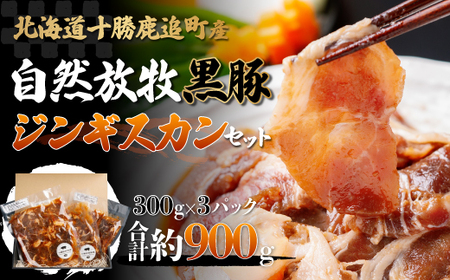 鹿追産 自然放牧黒豚ジンギスカンセット SKN002 【 黒豚 黒豚肉 豚肉 肉 豚 ジンギスカン 】 SKN002