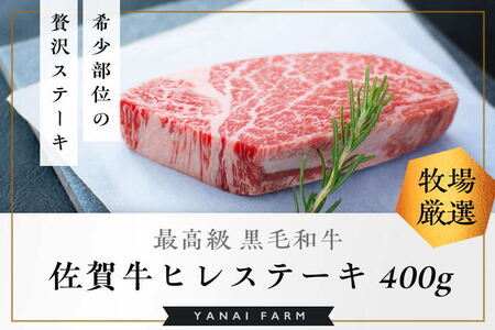 《佐賀牛》「梁井」希少部位 ヒレステーキ 2枚 400g【佐賀牛 ヒレステーキ フィレステーキ ヒレ肉 フィレ やわらか 上質 サシ 美味しい パーティー イベント ブランド肉】K081023