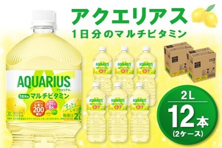 アクエリアス 1日分のマルチビタミン PET 2L (2ケース) 計12本[コカコーラ アクエリ スポーツ飲料 夏バテ予防 水分補給 ビタミン補給 ビタミンC ミネラル クエン酸 リットル ペットボトル ペット スポーツ イベント