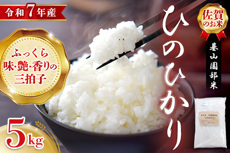 yߘa7NY VāzR Ђ̂Ђ 5kgy   qmqJ nY F ₩ ΂  RzK099006