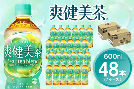 u 600mlPET (2P[X) v48{yRJR[ JtFC[ ΂  uh  ngM  唞 hN_~Af  ݂ ybg{g ~ h MǁzK0901