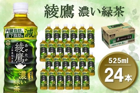 綾鷹 濃い緑茶 525mlPET×24本(1ケース)[機能性表示食品][コカコーラ お茶 茶葉 ペットボトル うまみ 旨み 日本茶 国産 カテキン バランス 内臓脂肪 皮下脂肪 機能性表示食品 備蓄 防災 熱中症]K090136