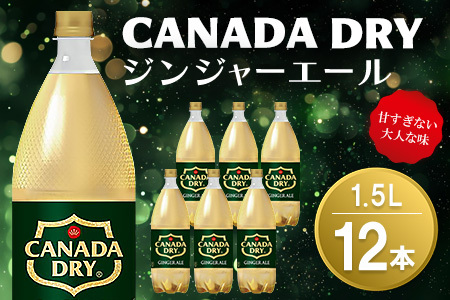 カナダドライ ジンジャーエール 1.5LPET (2ケース) 計12本[コカコーラ ジンジャー 炭酸飲料 炭酸 1.5リットル ペットボトル ペット シャンディガフ 刺激 気分爽快 イベント]K090153