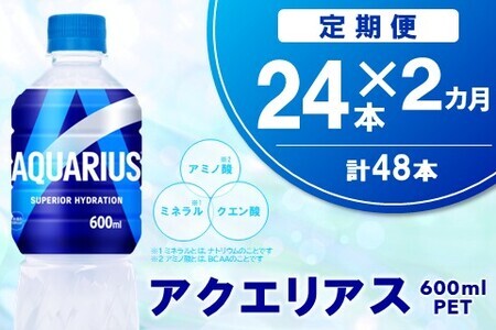 y2JցzANGAX 600mlPET×24{(1P[X)yRJR[ MǑ΍ X|[c X|[chN ⋋ J[It ybg{g N XbL ~l A~m_ NG