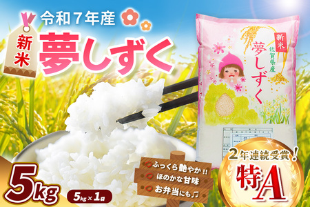 yߘa7NYVāz 5kgy   ߂  nY VN F R  ꌧzK018028