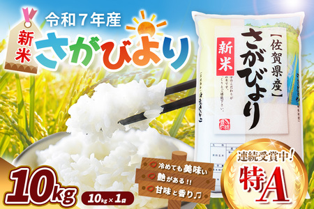 yߘa7NYVāzт 10kgyA  uh Y  ͂ ɂ ٓ ӂ zK018031