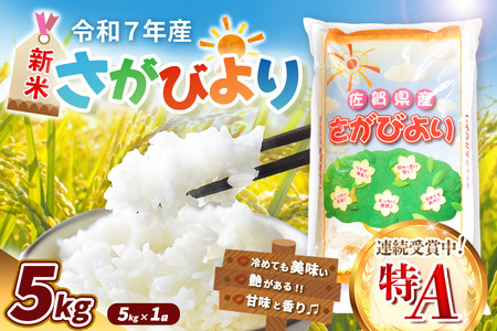 yߘa7NYVāzт 5kgyA  uh Y  ͂ ɂ ٓ ӂ zK018030