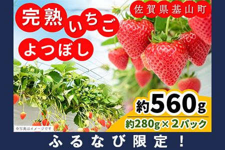 yӂȂьzyV_I[vLOzyst 2026N1蔭zy_꒼Izڂ(280g×2P)yӂ邳Ɣ[ RY  C`S ̂ n FN-Limited-PRzK100011