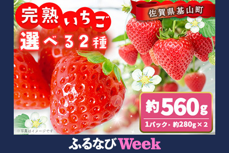 [ふるなびWEEK対象][農場直送いちご]選べる2品種セット(約280g×2パック)K100031 FN-Limited-WE