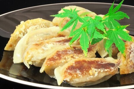 手づくり餃子 銀の羽 40個入[ぎょうざ ジューシー コラーゲン ビールのおつまみ ボリューム 小分け] K007012