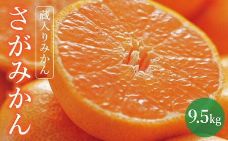 yԌz݂ i݂9.5kgjyB݂ Â Z W[V[ RN n n݂ o  k  Mtg ʕ t[c ꌧY ꌧ a  ΋ʎ