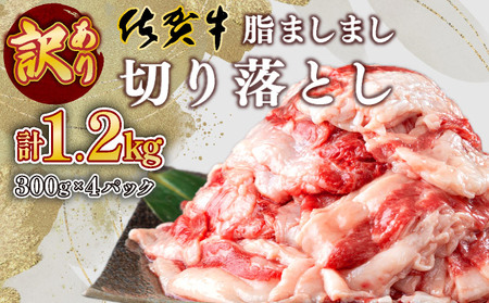 󂠂聄ꋍ؂藎Ƃ 1.2kg