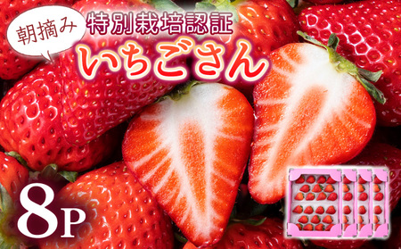 ys\zʌIꌧlCNo.1䕁hh Ղ1.9si235g×8pj