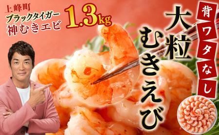 _ނGri嗱ubN^CK[1.3kgj70?90 B-1114-E