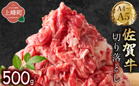 艶さし![A4~A5]佐賀牛切り落とし 500g