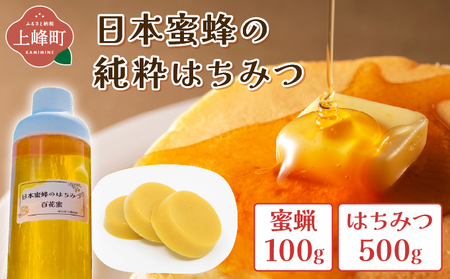 日本蜜蜂の純粋はちみつ 日本蜜蜂の純粋はちみつ 500g×1 蜜蝋100g付