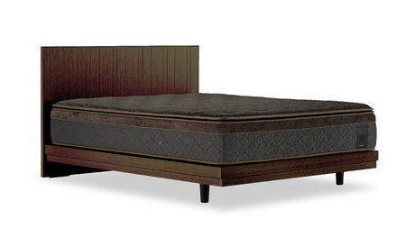 フランスベッド テレス01F 脚付きタイプ セミダブル (フレームのみ)