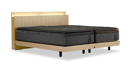 フランスベッド テレス02C 脚付きタイプ セミダブル(フレームのみ)T-126