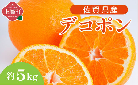 デコポン 約5kg D-669-RN