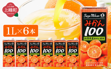みかん100 1L×6本 B-1136-RN