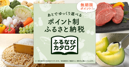 [有効期限なし!後からゆっくり特産品を選べる]佐賀県上峰町カタログポイント