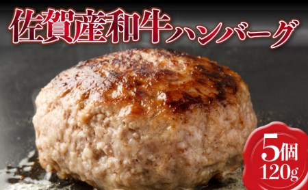 [佐賀産和牛]ハンバーグ120g×5個