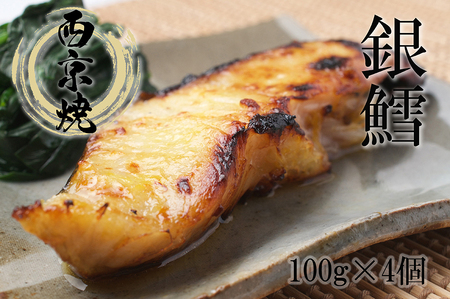 FX019_₾琼Ёi^pbN100g×4Pj