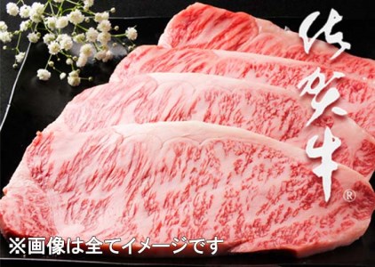 BG023_ꋍT[CEXe[L@800g (200g×4)