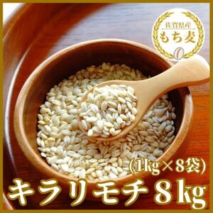 CIB98_ꌧYwxWkg(Pkg×W)yL`z