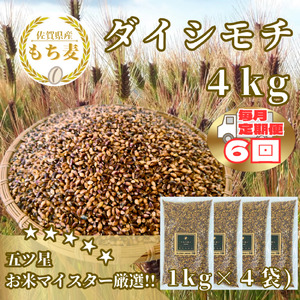 CIB43_【６回定期便】ダイシモチ４ｋｇ もち麦 キラリ もち麦ごはん