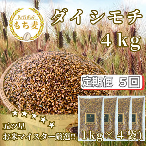 CIC21_[5回定期便]ダイシモチ4kg もち麦 キラリ もち麦ごはん