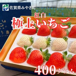 GF006_y2025N11{`2026N4zɏ g 400