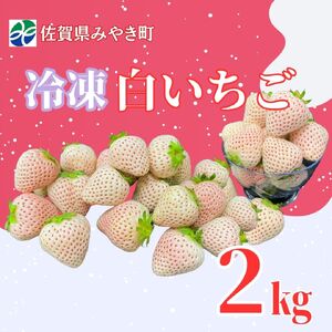 GF008_y2026N6ȍ~zⓀQ