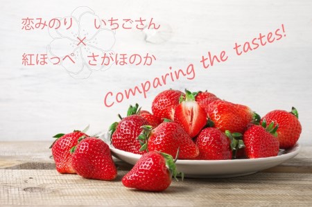 BC019_いちご食べ比べ4パック（ さがほのか・いちごさん・恋みのり・紅ほっぺ）