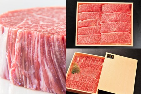 DP081_ꋍllJցa@(S6/u͂E)lC̐ԐgIqXe[LAXCXAĂ