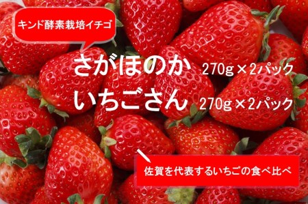 あま〜い!!キンド酵素栽培いちご [さがほのか270g×2パック・いちごさん270g×2パック]数量限定!!