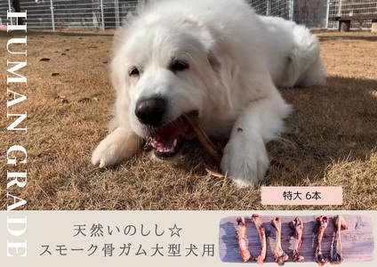 佐賀県みやき町犬イノシシガムの返礼品 検索結果 | ふるさと納税サイト