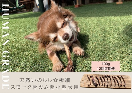 ふるさと納税 FB082_ 小型犬向け☆天然いのししのスモーク骨ガム200g