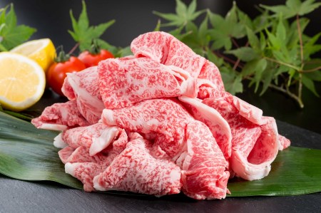 DV010_ꌧYa؂藎Ƃ400