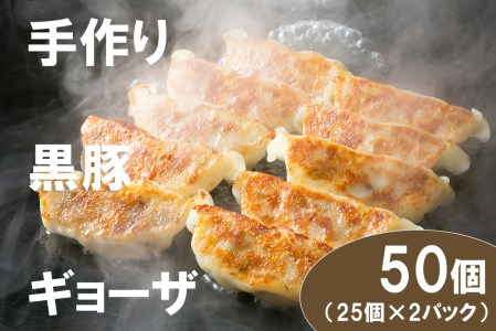 DA033_][̎荕Lq50iY؎gpj