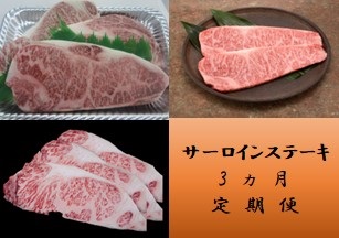佐賀県産和牛サーロインステーキ 3回定期便
