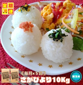CIC75_[5回定期便]無洗米さがびより10kg(5kg×2袋) [五つ星お米マイスター厳選!]