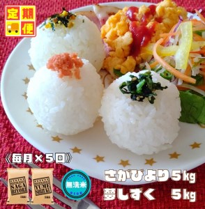 CID10_『新米予約初回2025年11月発送』[5回定期便][無洗米食べ比べ!]さがびより5kg夢しずく5kg [五つ星お米マイスター厳選!]