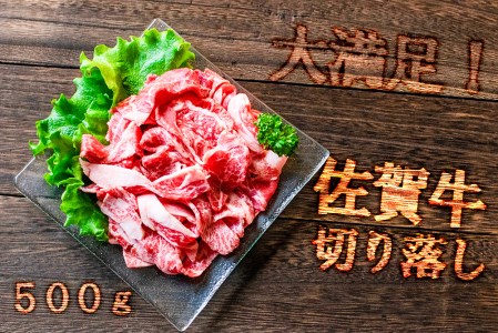 FK027_【佐賀のお肉をご家庭に！】佐賀牛切り落とし500g