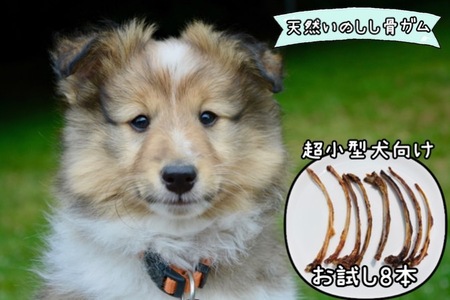 FB129_【お試し8本】超小型犬向け☆天然いのししの骨ガム(極細）