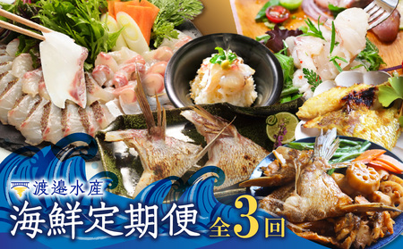渡邉水産・海鮮定期便(3回)|定期便 定期便 定期便 定期便 定期便[Z071]