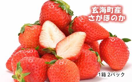 予約受付★平川いちご農園 佐賀県玄海町産いちご「さがほのか」2025年1月〜4月順次配送[D022]